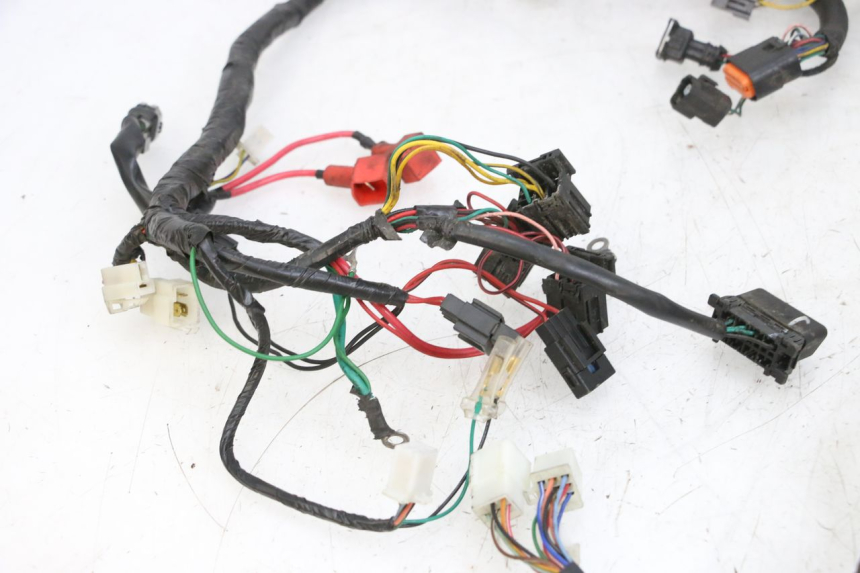 photo de IMPIANTO ELETTRICO PEUGEOT SPEEDFIGHT 4 4T EFI 50 (2021 - 2025) - Primo piano ad alta risoluzione