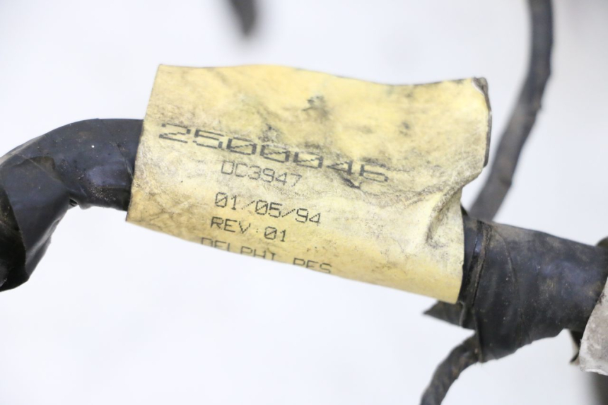 photo de IMPIANTO ELETTRICO TRIUMPH SPRINT 900 (1995 - 1998)