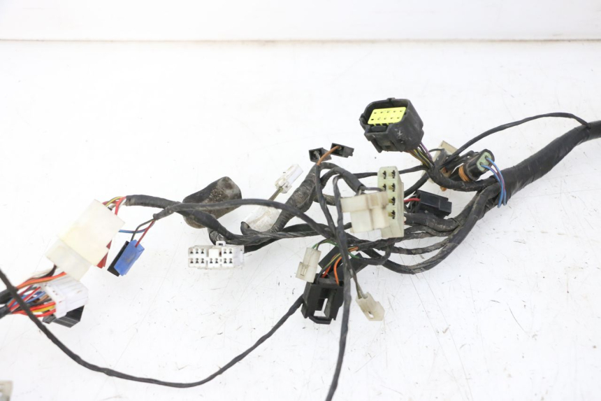 photo de IMPIANTO ELETTRICO TRIUMPH SPRINT 900 (1995 - 1998)