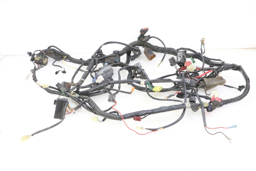 photo de IMPIANTO ELETTRICO HONDA ST PAN EUROPEAN 1300 (2002 - 2013)