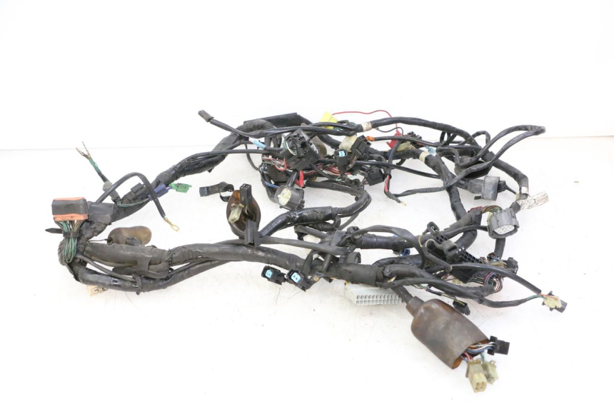 photo de IMPIANTO ELETTRICO HONDA ST PAN EUROPEAN 1300 (2002 - 2013)