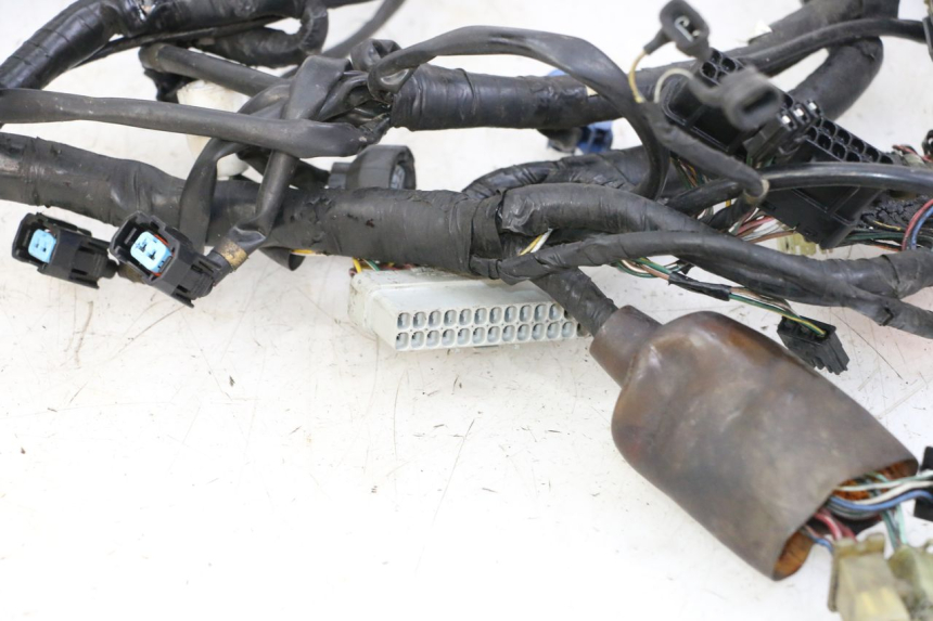 photo de IMPIANTO ELETTRICO HONDA ST PAN EUROPEAN 1300 (2002 - 2013)