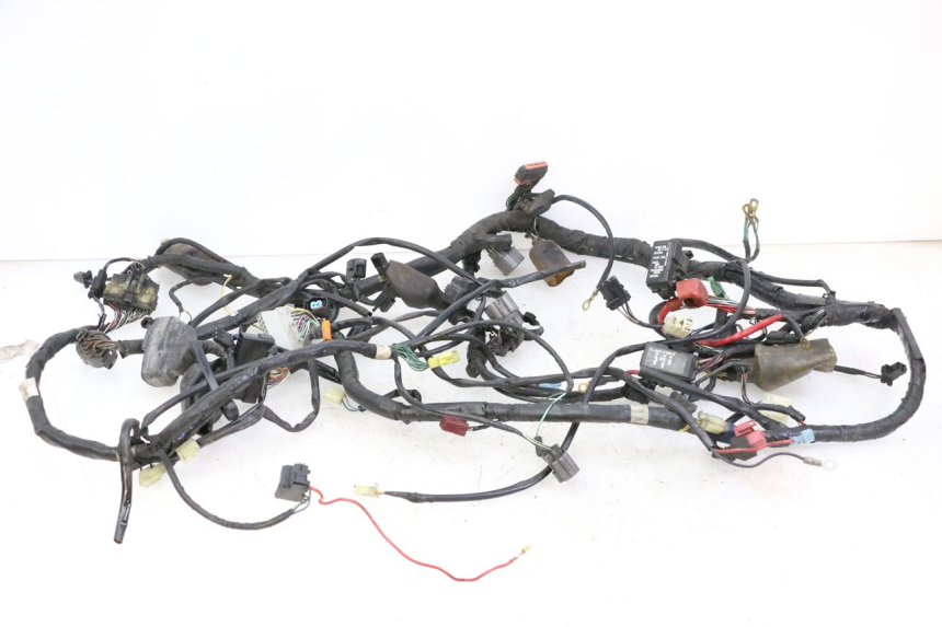photo de IMPIANTO ELETTRICO HONDA ST PAN EUROPEAN 1300 (2002 - 2013)