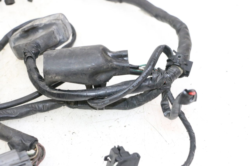 photo de IMPIANTO ELETTRICO HONDA ST PAN EUROPEAN 1300 (2002 - 2013)