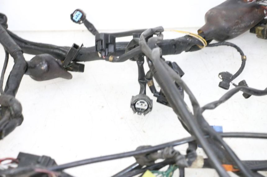 photo de IMPIANTO ELETTRICO HONDA ST PAN EUROPEAN 1300 (2002 - 2013)