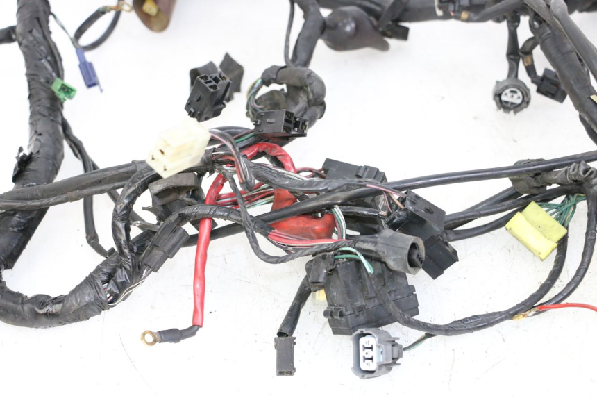 photo de IMPIANTO ELETTRICO HONDA ST PAN EUROPEAN 1300 (2002 - 2013)