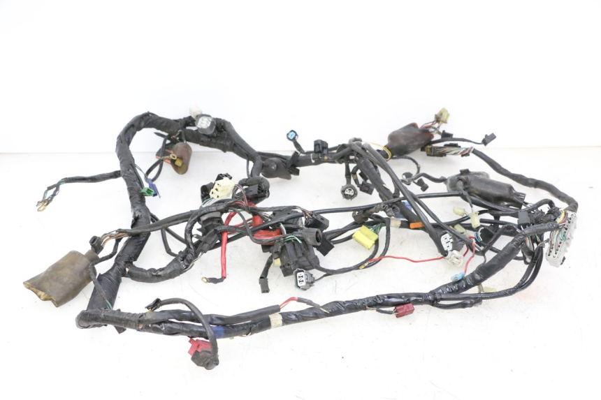 photo de IMPIANTO ELETTRICO HONDA ST PAN EUROPEAN 1300 (2002 - 2013)
