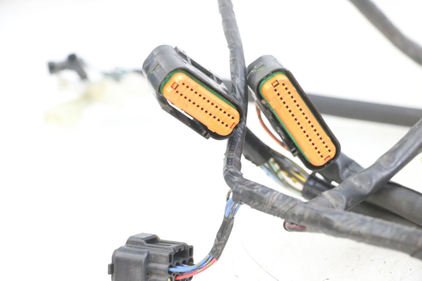 photo de IMPIANTO ELETTRICO SUZUKI GSX F GSXF 650 (2007 - 2015)