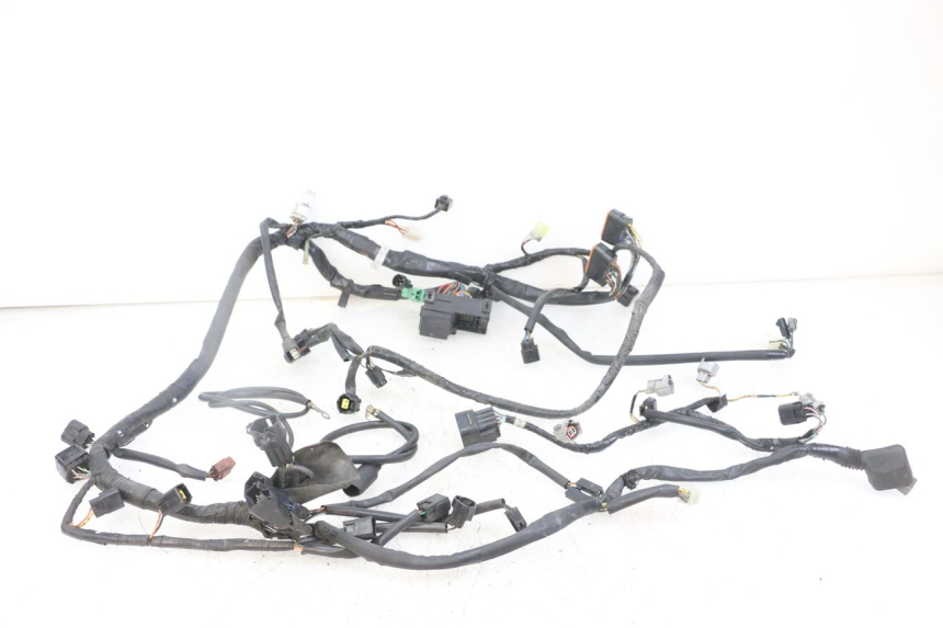 photo de IMPIANTO ELETTRICO SUZUKI GSX F GSXF 650 (2007 - 2015)