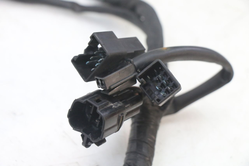 photo de IMPIANTO ELETTRICO SUZUKI GSX F GSXF 650 (2007 - 2015)