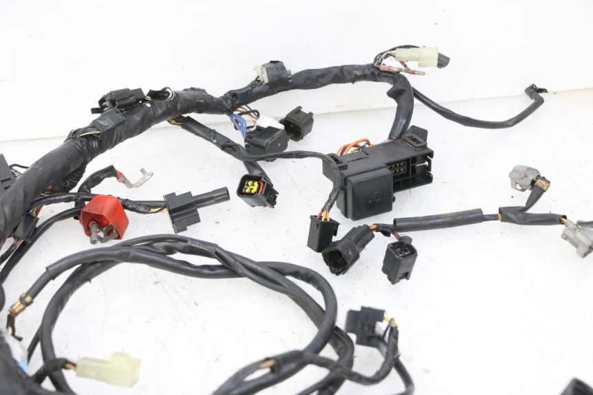 photo de IMPIANTO ELETTRICO SUZUKI SV S 650 (2003 - 2009)