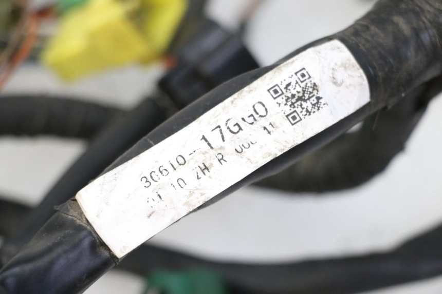 photo de IMPIANTO ELETTRICO SUZUKI SV S 650 (2003 - 2009)