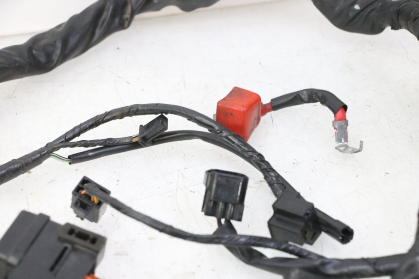 photo de IMPIANTO ELETTRICO SUZUKI SV S 650 (2003 - 2009)