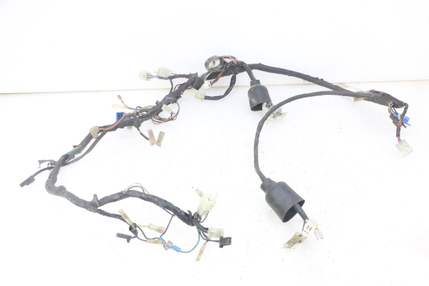 photo de IMPIANTO ELETTRICO YAMAHA TDR DELTABOX 125 (1993 - 2003)