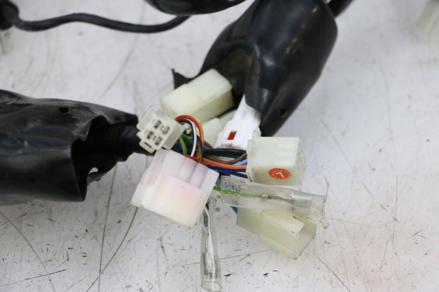 photo de IMPIANTO ELETTRICO NECO TEMPO 4T 50 (2022 - 2026) - Ricambio usato controllato