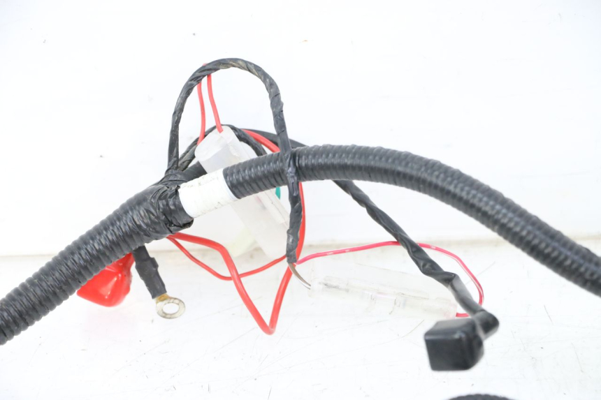 photo de IMPIANTO ELETTRICO TNT MOTOR BOSTON 4T 50 (2018 - 2025)