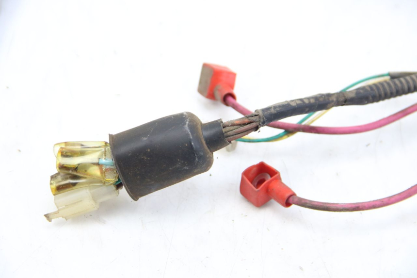 photo de FAISCEAU TNT MOTOR OTTO 2T 50 (2012 - 2018)