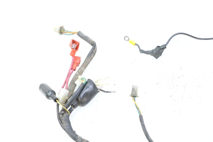 photo de FAISCEAU TNT MOTOR ROMA 10' 2T 50 (2011 - 2018)