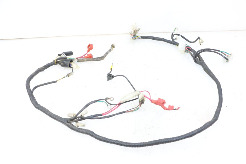 photo de FAISCEAU TNT MOTOR ROMA 10' 2T 50 (2011 - 2018)