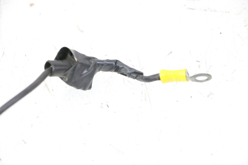 photo de FAISCEAU TNT MOTOR ROMA 10' 2T 50 (2011 - 2018)