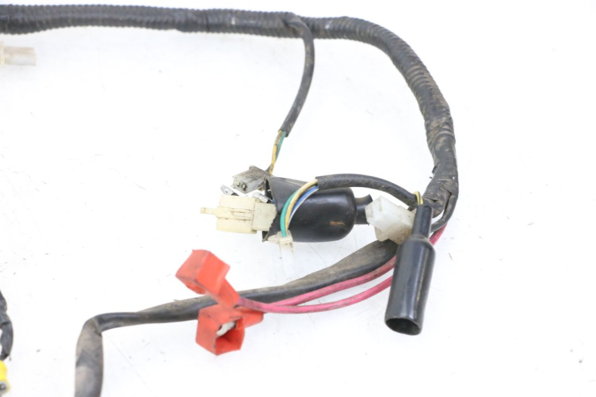 photo de FAISCEAU TNT MOTOR ROMA 10' 2T 50 (2011 - 2018)