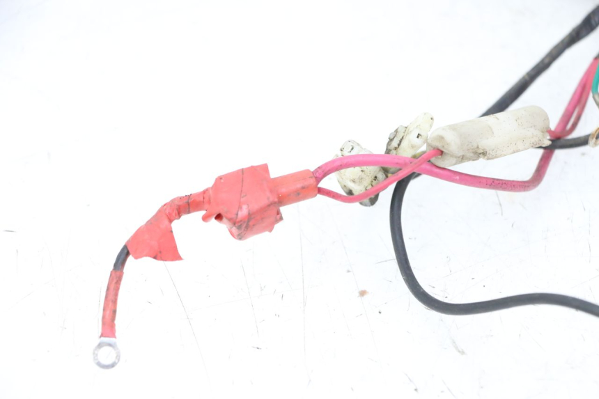 photo de FAISCEAU TNT MOTOR ROMA 10' 2T 50 (2011 - 2018)