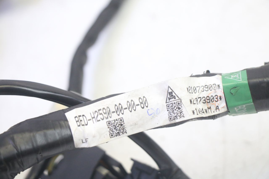 photo de IMPIANTO ELETTRICO YAMAHA TRICITY 300 (2020 - 2024) - Dettaglio del componente