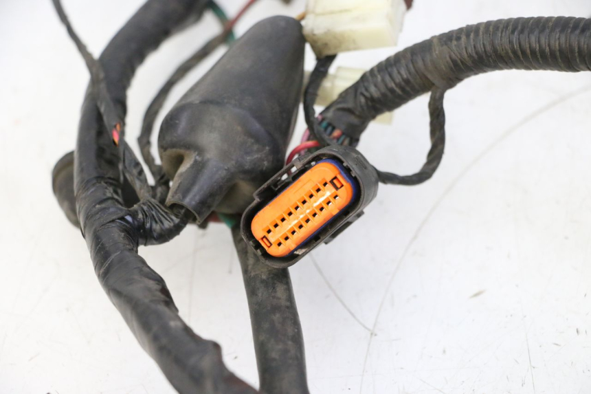 photo de IMPIANTO ELETTRICO PEUGEOT TWEET PRO CARGO 50 (2018 - 2020)