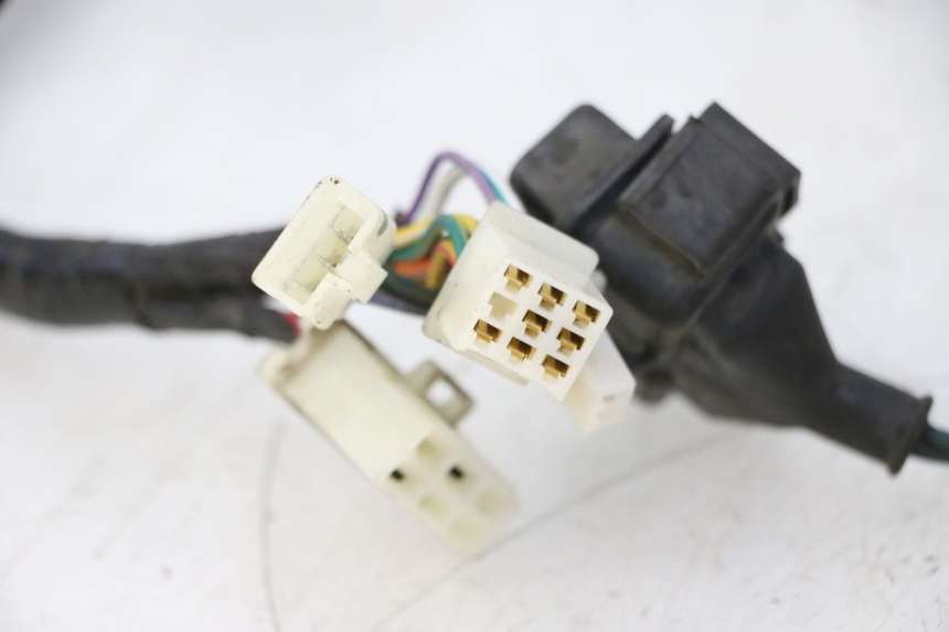 photo de IMPIANTO ELETTRICO PEUGEOT TWEET PRO CARGO 50 (2018 - 2020)