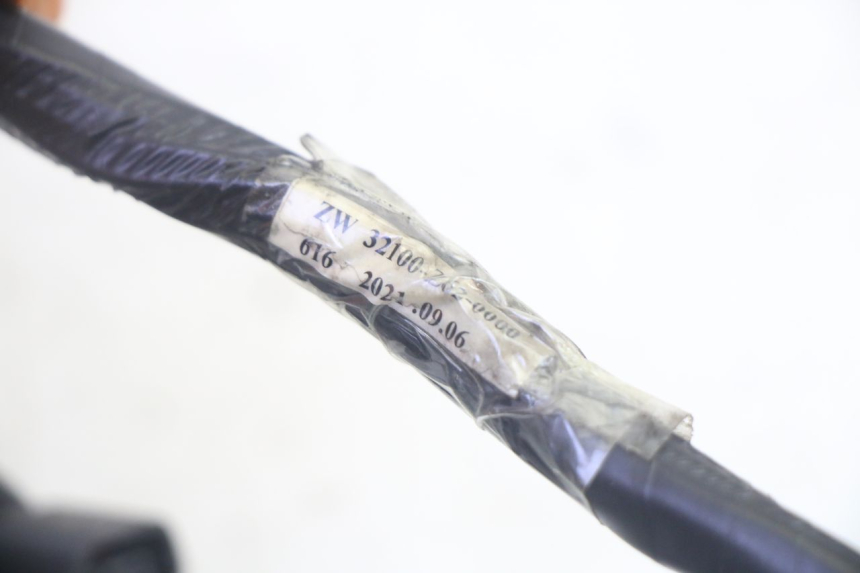 photo de IMPIANTO ELETTRICO PEUGEOT TWEET PRO EFI 4T 50 (2021 - 2022)