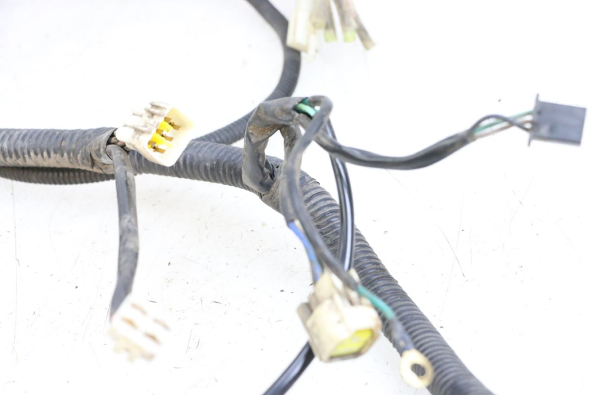 photo de IMPIANTO ELETTRICO BEELINE VELOCE 4T 50 (2011 - 2020)