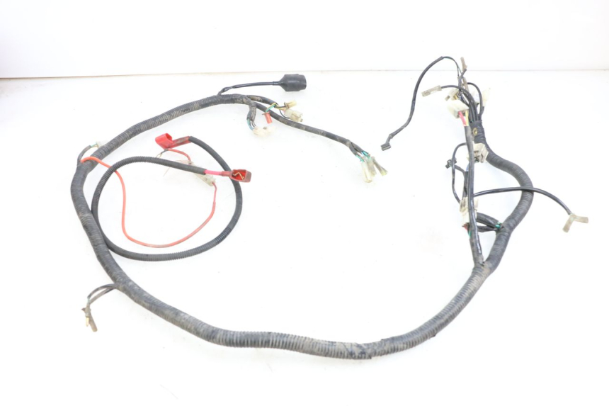 photo de IMPIANTO ELETTRICO BEELINE VELOCE 4T 50 (2011 - 2020)
