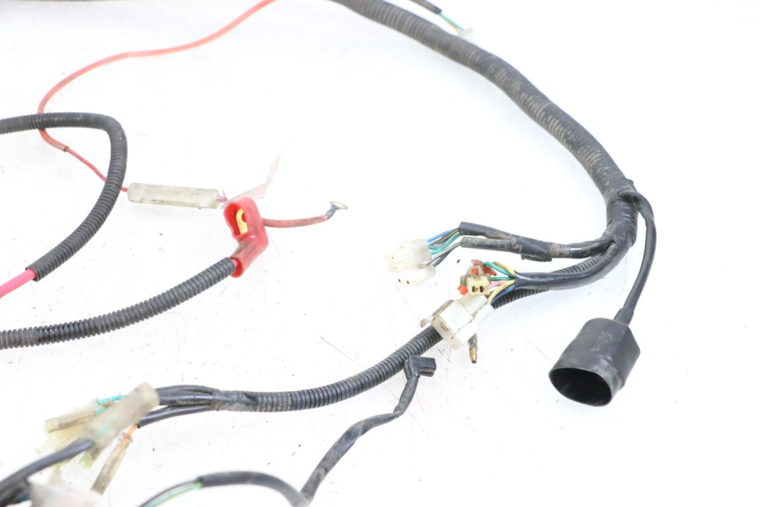 photo de IMPIANTO ELETTRICO BEELINE VELOCE 4T 50 (2011 - 2020)