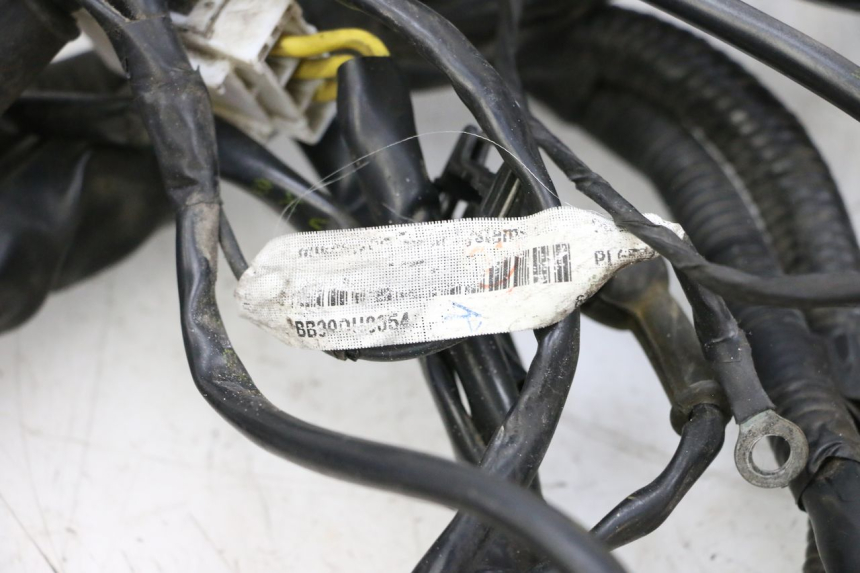 photo de FAISCEAU PIAGGIO VESPA GTS SUPER IE 125 (2009 - 2016) - Dettaglio del componente