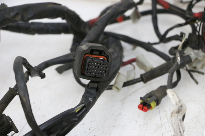 photo de FAISCEAU PIAGGIO VESPA GTS SUPER IE 125 (2009 - 2016) - Dettagli dei punti di fissaggio