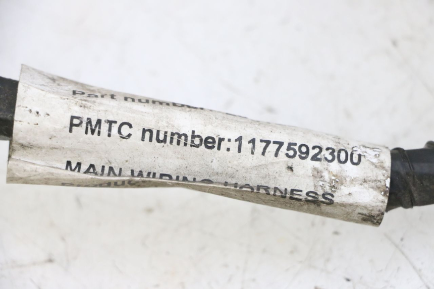 photo de FAISCEAU PEUGEOT VIVACITY NEW 4T 50 (2008 - 2017)