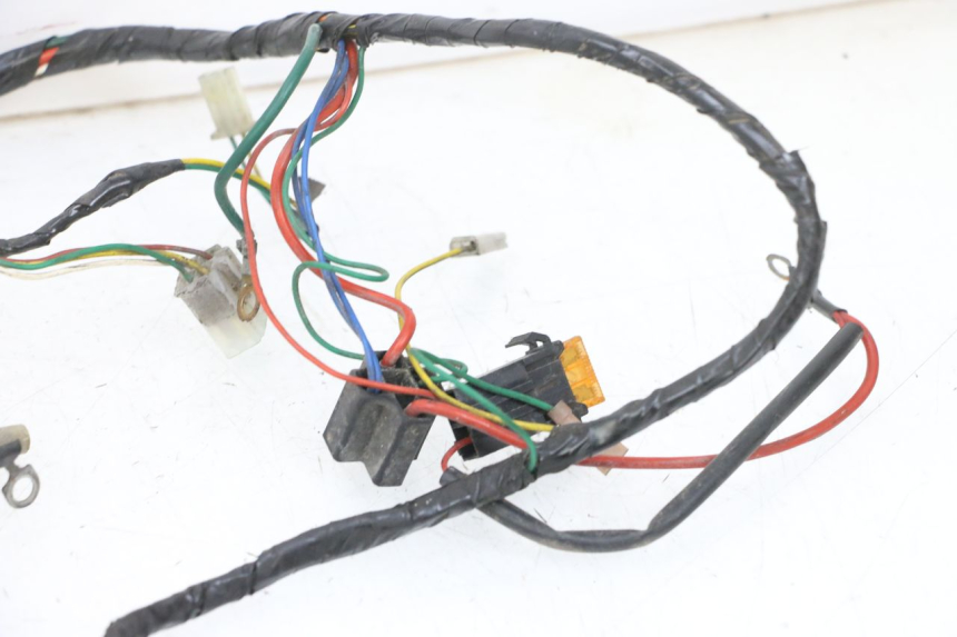 photo de IMPIANTO ELETTRICO PEUGEOT VIVACITY 100 (1999 - 2008) - Zoom sui componenti