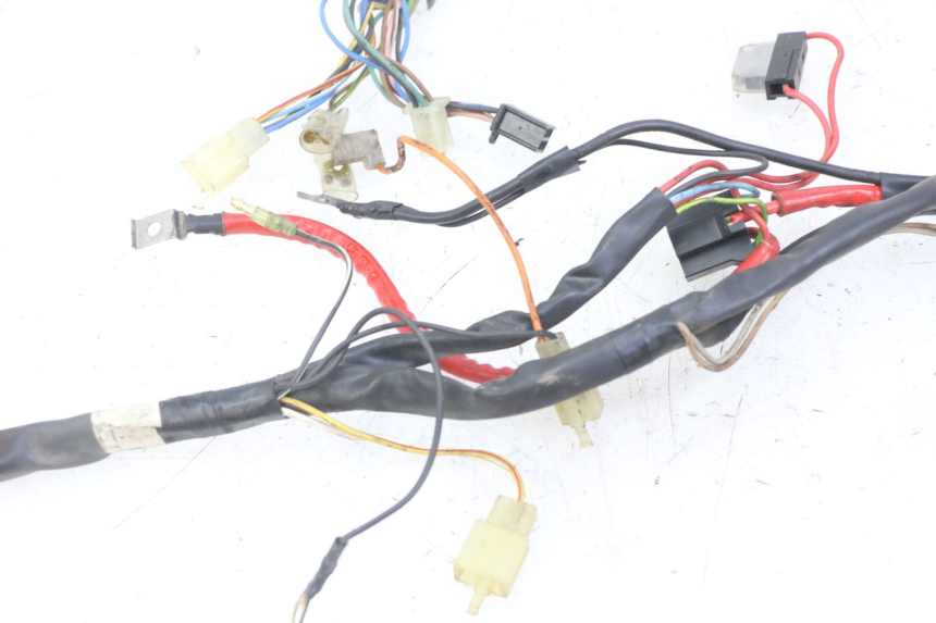 photo de IMPIANTO ELETTRICO YAMAHA WHY 50 (1998 - 2000)