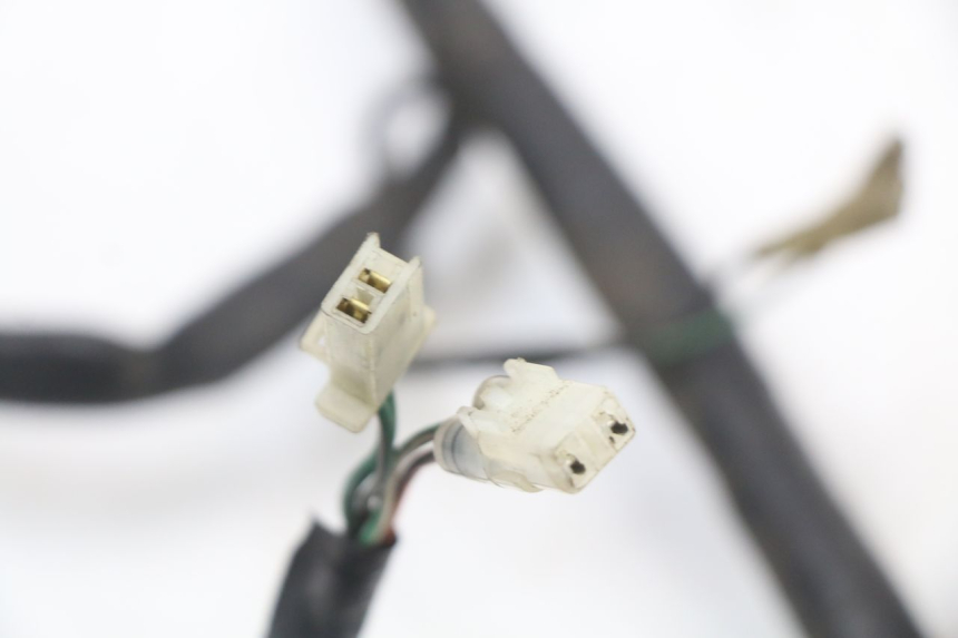 photo de Cablaggio KYMCO XCITING 250 (2006 - 2009)