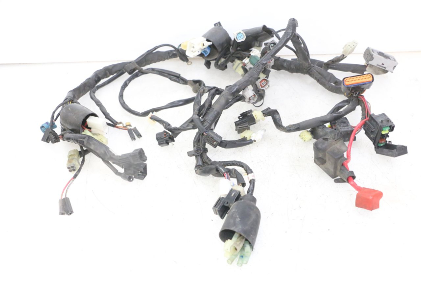 photo de Cablaggio YAMAHA XJ6 ABS 600 (2008 - 2016)