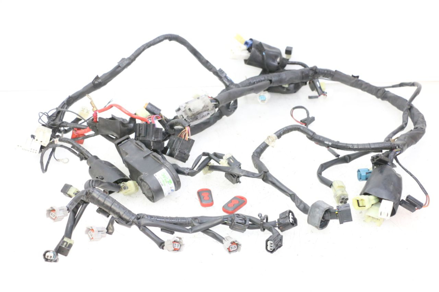photo de Cablaggio YAMAHA XJ6 ABS 600 (2008 - 2016)