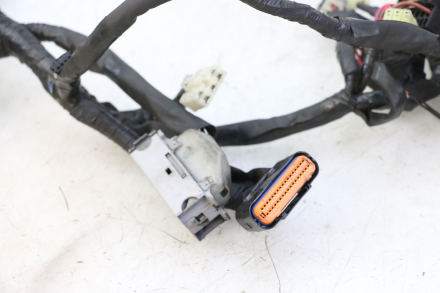 photo de Cablaggio YAMAHA XJ6 ABS 600 (2008 - 2016)