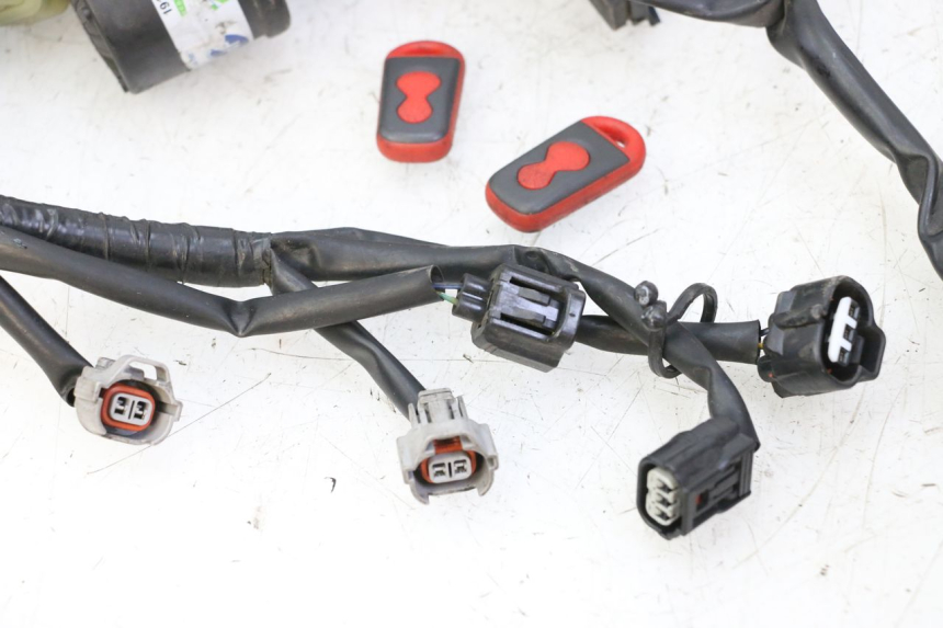 photo de Cablaggio YAMAHA XJ6 ABS 600 (2008 - 2016)