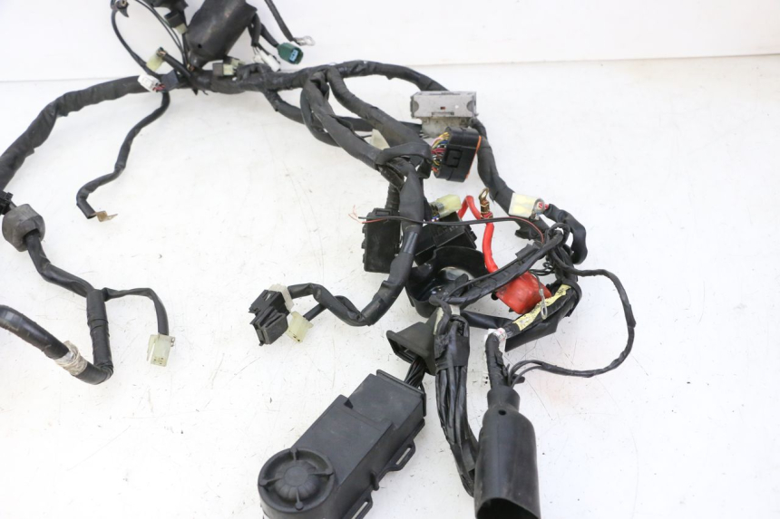 photo de Cablaggio YAMAHA XJ6 ABS 600 (2008 - 2016)