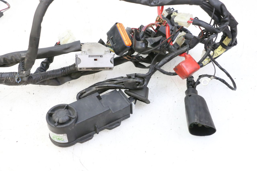 photo de Cablaggio YAMAHA XJ6 ABS 600 (2008 - 2016)