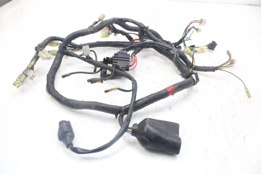 photo de IMPIANTO ELETTRICO YAMAHA XJN DIVERSION 600 (2000 - 2003)