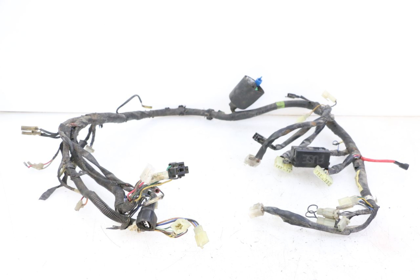photo de IMPIANTO ELETTRICO YAMAHA XJN DIVERSION 600 (2000 - 2003)