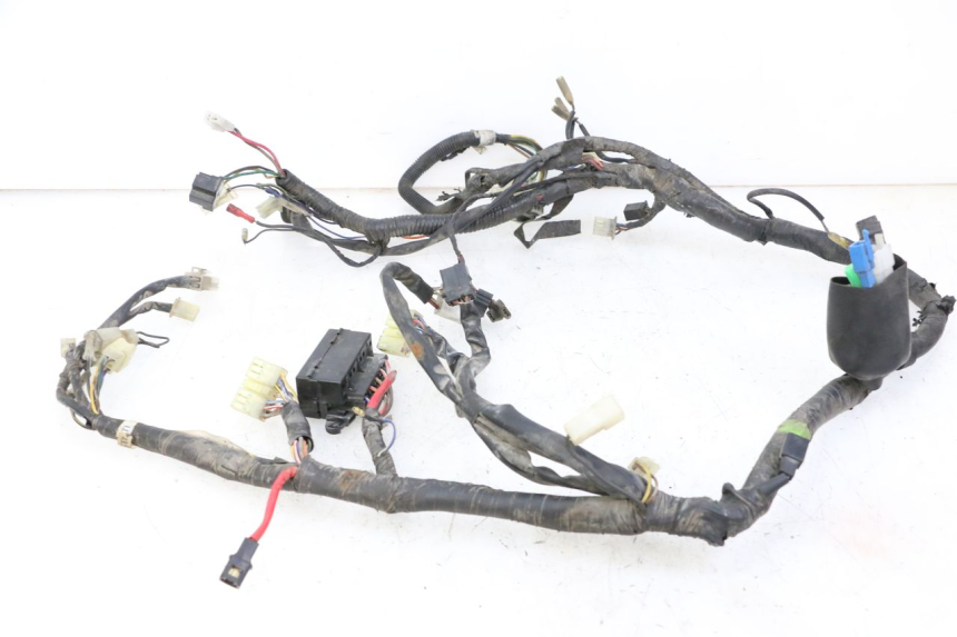 photo de IMPIANTO ELETTRICO YAMAHA XJN DIVERSION 600 (2000 - 2003)
