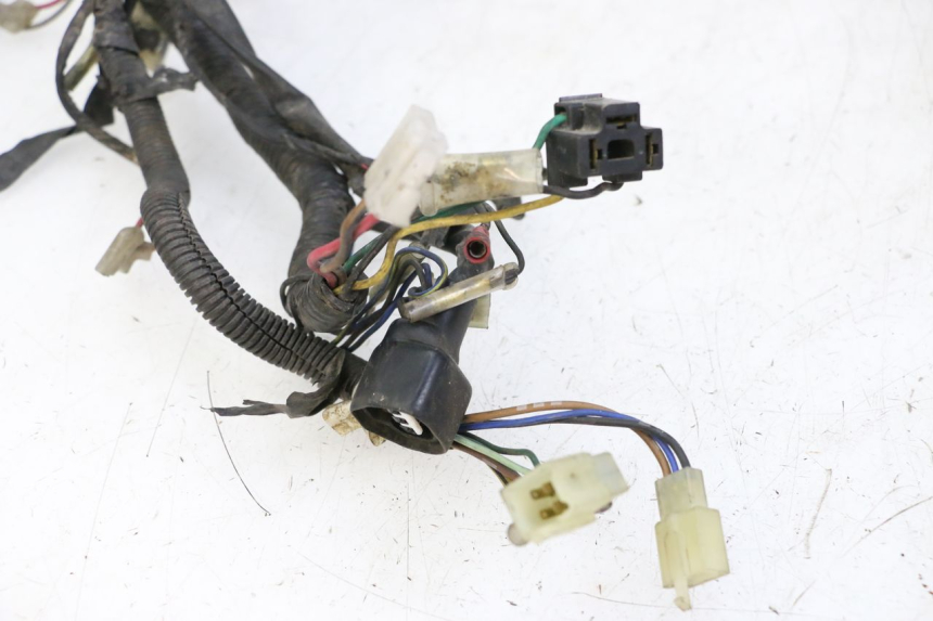 photo de IMPIANTO ELETTRICO YAMAHA XJN DIVERSION 600 (2000 - 2003)