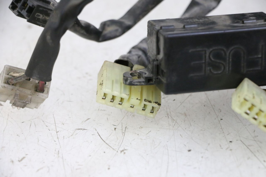 photo de IMPIANTO ELETTRICO YAMAHA XJN DIVERSION 600 (2000 - 2003)